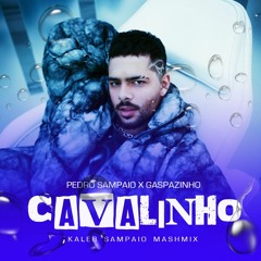 PEDRO SAMPAIO, Gasparzinho - CAVALINHO(Kaleb Sampaio Mashmix)