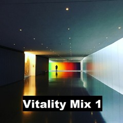 Vitality Mix 1