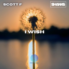 Scott F & Shanks - I Wish [sample]