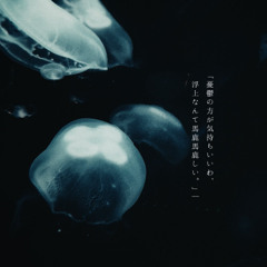 Cnidaria
