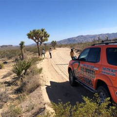 Review Special Price Joshua Tree National Park Offroad Tour
