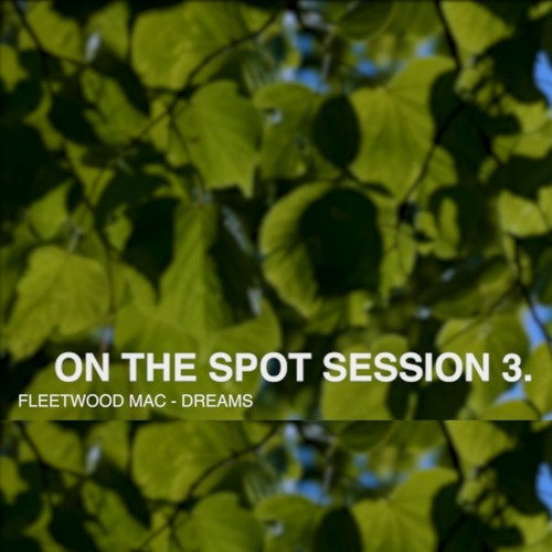 On the Spot Session 3: Fleetwood Mac - Dreams (with Coco Norah)