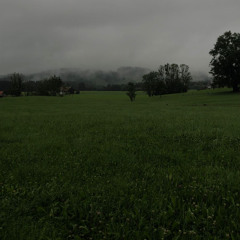 alone in the field