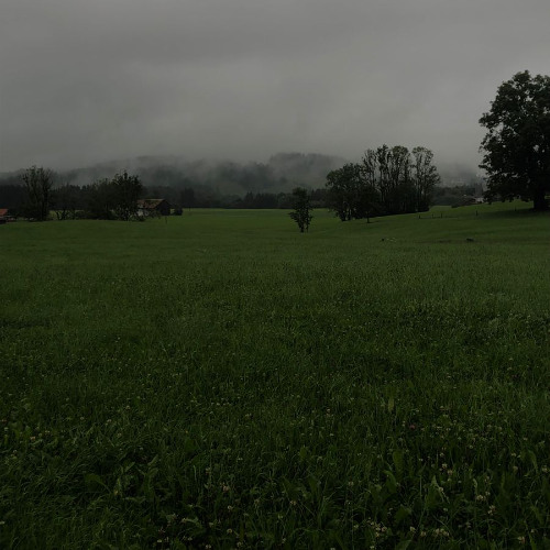 alone in the field