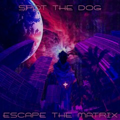 Escape the Matrix