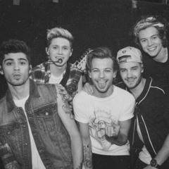 just can’t let her go - one direction [full version]