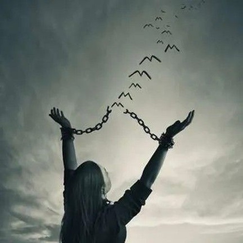 alpha White Knight - break free