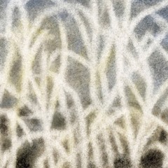 water dream