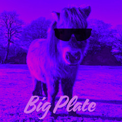 Big Plate (Eatin' Good) Mix