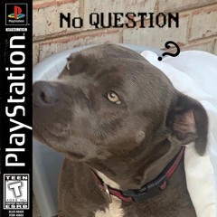 No Question (prod. mathu)