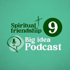 Episode 009: The Big Idea Podcast - Spiritual Friendship Series  (Covenant Friendship)