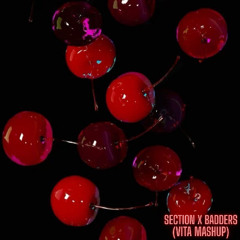 LYNY x PEEKABOO - Section x Badders (ViTA Mashup)