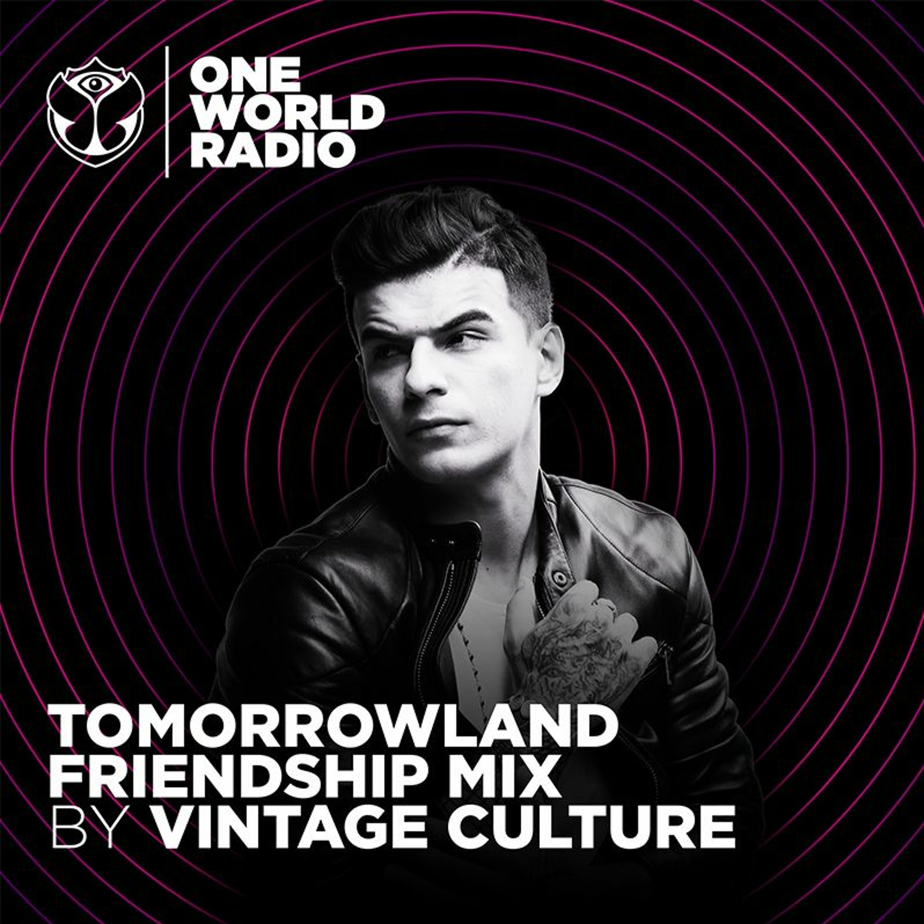Tomorrowland Friendship Mix