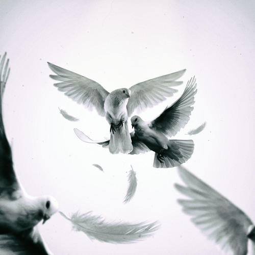 Surrendering Dreams