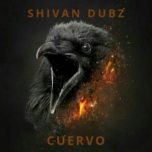 E1 - SHIVAN DUBZ - CUERVO -  DUBPLATE - B - MIX 1