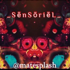| _SēnSōriēL_|