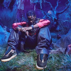 TRAVIS SCOTT Type Beat - "mule"  Rap/Trap Instrumental