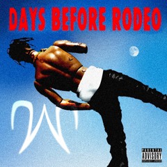 Drugs You Should Try It - Travis Scott (WINTR SKYES Cover)