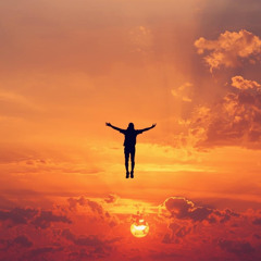 Fly With Me