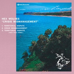 Premiere: Hex Wolves "Crisis Mismanagement" - Valley Electroniks