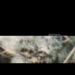 MENACE - Fragments of Today, Echoes of the Mind [010]