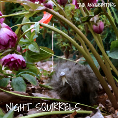 Night Squirrels