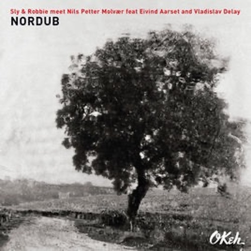 Robbie Shakespeare: Sly & Robbie Meet N.P. Molvær Feat. E. Aarset And V. Delay – Nordub (2018)