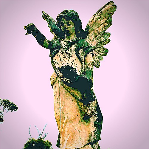 Archive Daily Song 25.8.2015