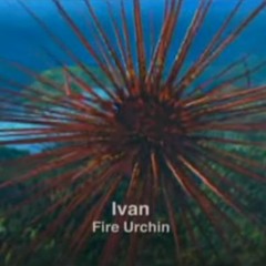 RoB-D - 💀 |  Jebrochen  |  ♿️