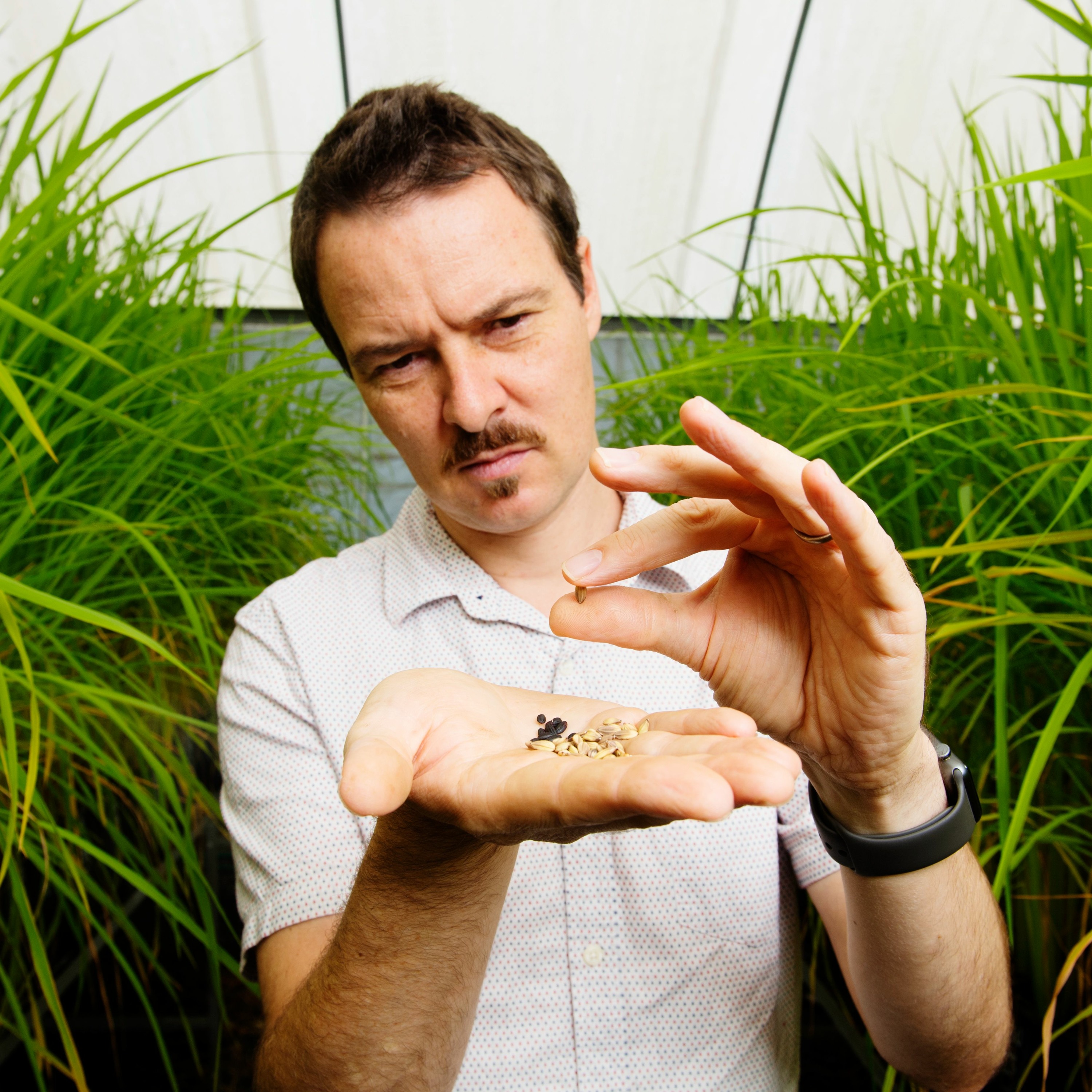 Researching coffee, rice, and hemp! A chat with Associate Professor Tobias Kretzschmar episode artwork