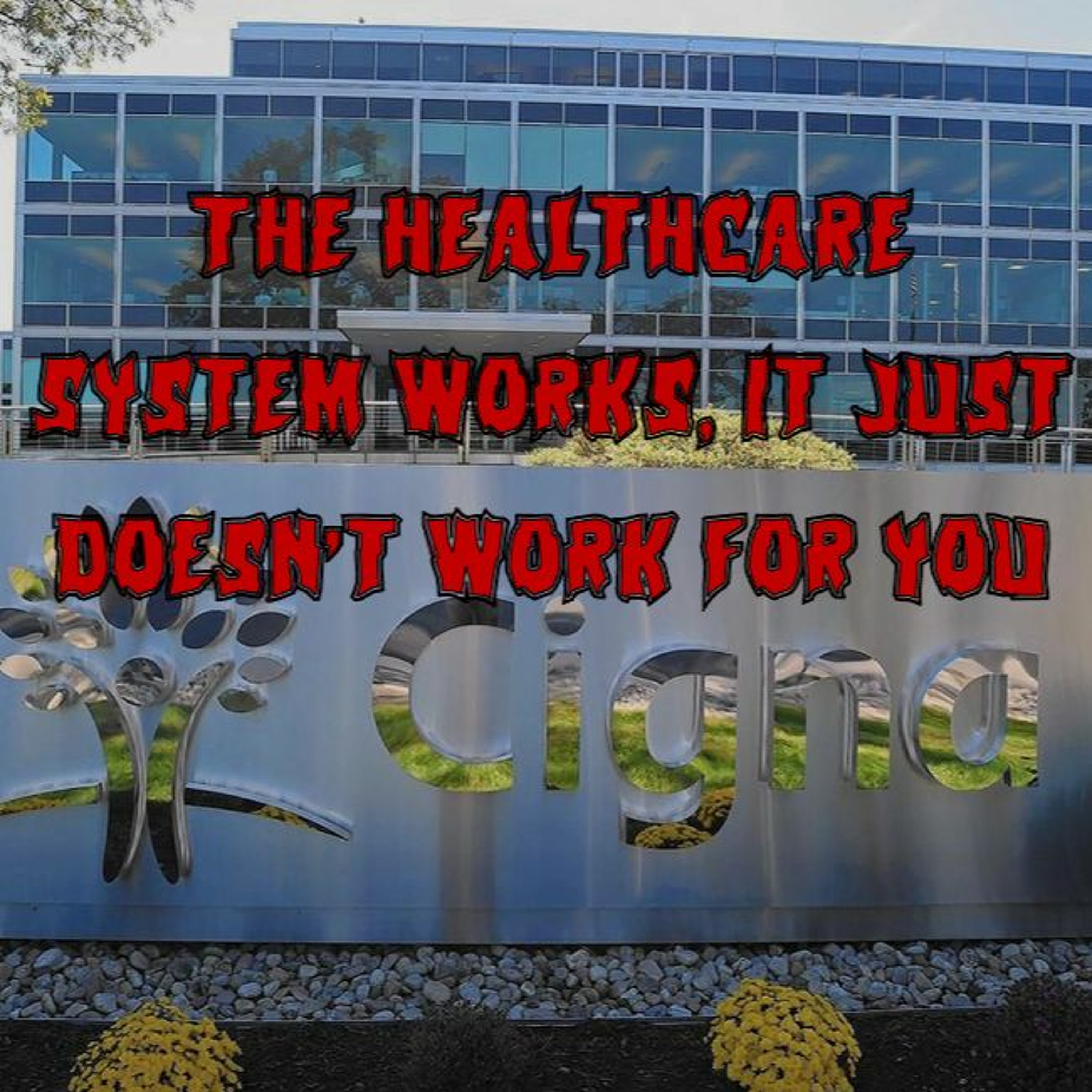 Patreon Preview – 254. The Healthcare System Works, It Just Doesn’t Work For You