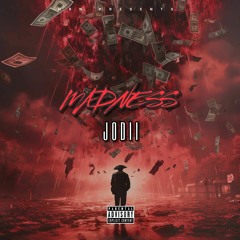 Madness(Prod. ARAM)