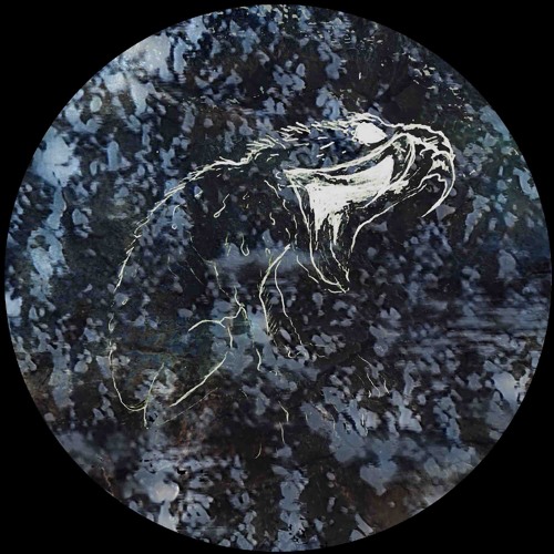Indefinite Pitch PREMIERES. Neural Scape - Neuro Destructor [GIFKIKKER]