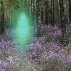 Léo Pensette - Restored ━dans les bois de Gladys