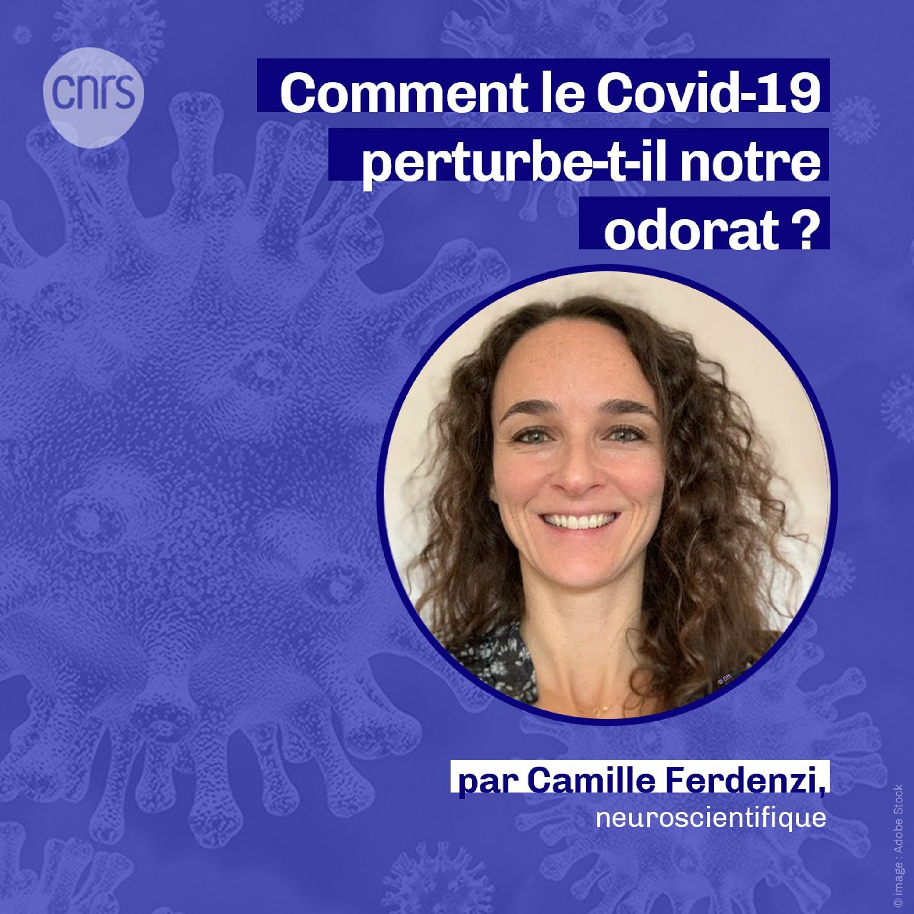 Les Podcasts du CNRS