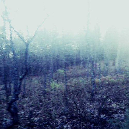Milord x blindheart - Despair Time (Slowed)