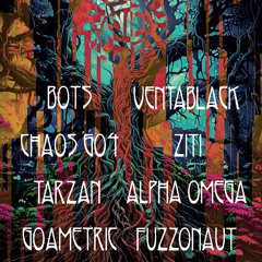 ZiTi - Dark set - Bots Gathering 25/01/25