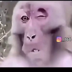 ‎⁨شيلة - سج ياقلب العنا والعمر فاني  مسرعه طرب⁩.mp3