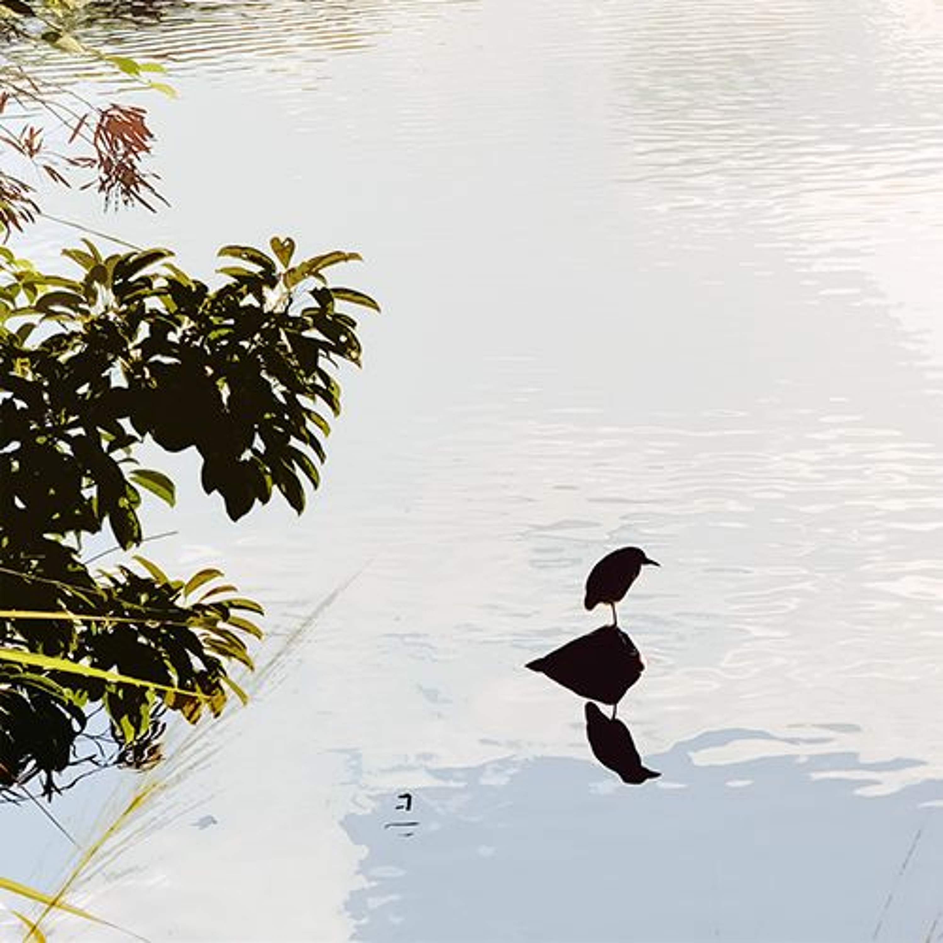 l'eau fit episode artwork