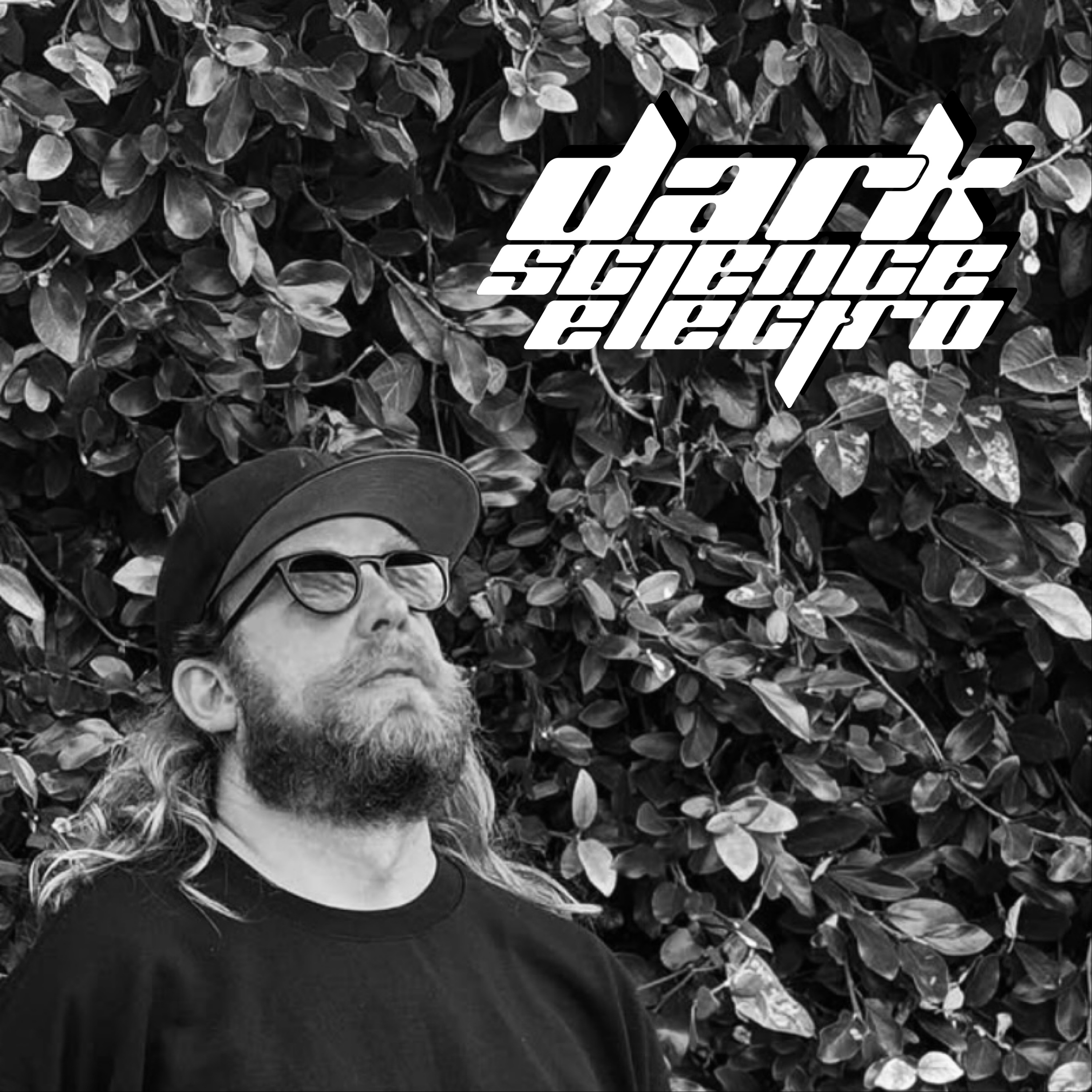DVS NME
