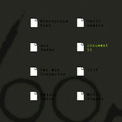 Document 91 (Track 4 from "Documents 2008 2018 Volume 1")