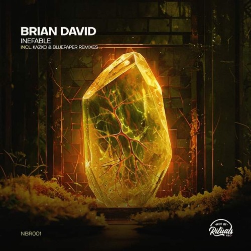 PREMIERE: Brian David - Inefable (Original Mix)[Not By Rituals Rec]