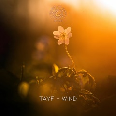 Tayf - Wind