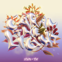 PLS&TY & Nu-La - Carry The Light
