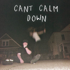 CANT CALM DOWN 2 (feat.THE BE@T)