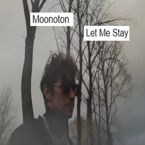 Moonoton - Let Me Stay