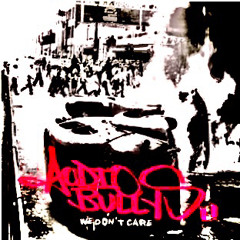 AUDIO BULLYS- WE DON'T CARE (SMIDDY BOOTLEG)FREE DL