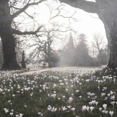 paradise 2w/Aristo playa(old track)