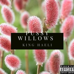 PUSSY WILLOW : KING HAELI PRODUCE BY DCQ BEATZ