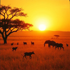 Golden Serengeti